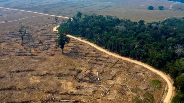 Área desmatada próxima a uma áreasorteio numeros roletafloresta tropical na Amazônia