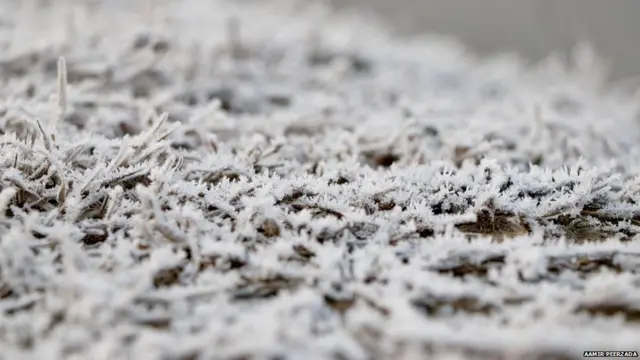 श्रीनगर