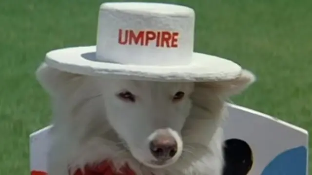 हम आपके है कौन?