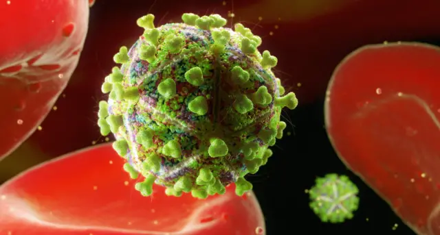 ایچ ای وي ویروس