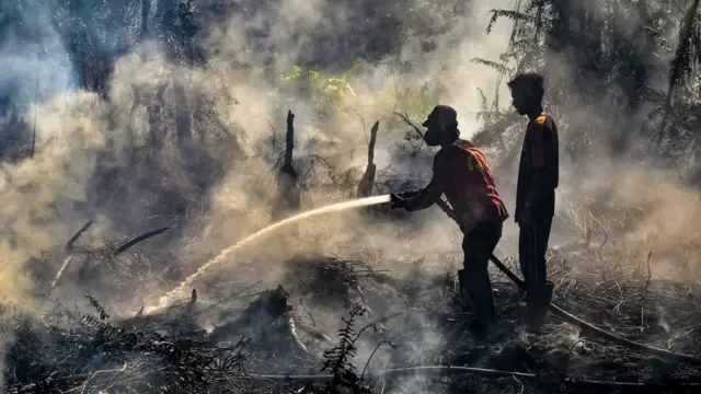 Kebakaran hutan di Riau, Agustus 2019