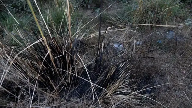 જે સ્થળે સંજલિને સળગાવવામાં આવી તે જગ્યા