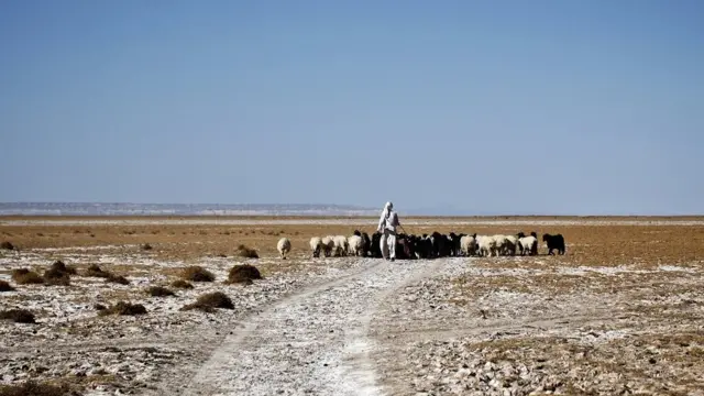 எங்கும் பசி, பட்டினி - யுத்தத்தை வென்ற வறட்சி