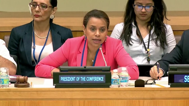 Elayne Whyte Gómez, embajadora de Costa Rica ante la ONU.