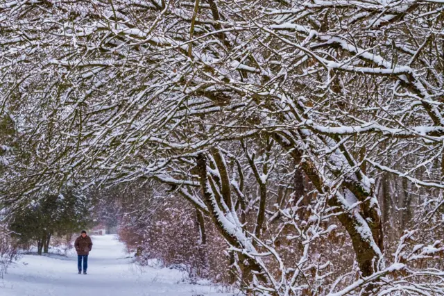 В Ужгороді змова казка почалася на кілька днів раніше - його почало засипати снігом ще з 4 січня