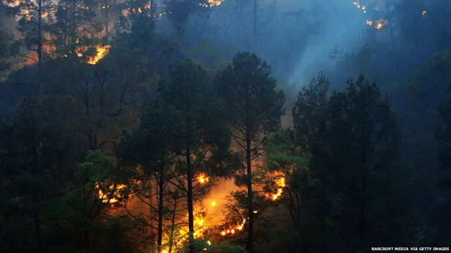 उत्तराखंड