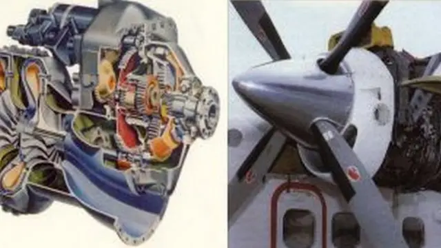 டோனியர்