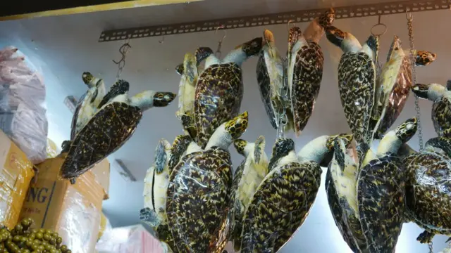 Hình minh họa