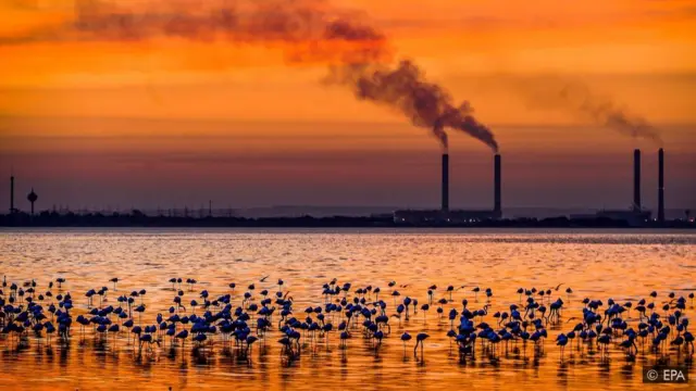 어떤 병원들은 화석연료에 에너지를 의존하는 대신 재생에너지를 사용해 탄소배출을 줄이고 돈도 절약한다