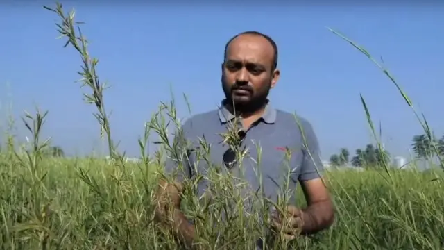 અંકિતભાઈ