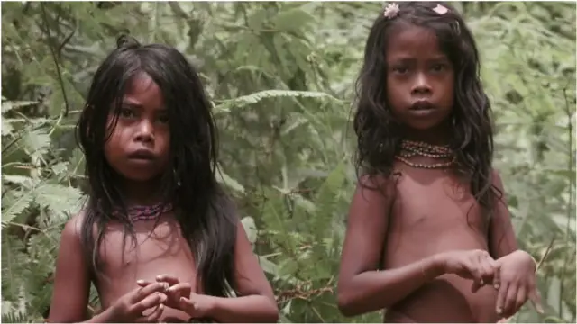 ఒరంగ్ రింబా