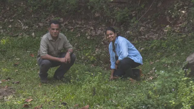 மர்மத் தவளை - மேற்குத் தொடர்ச்சி மலையில் கண்டுபிடிக்கப்பட்ட ரகசியத் தவளை இனம்