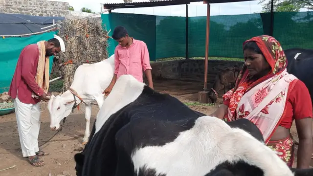 दुग्धपालन