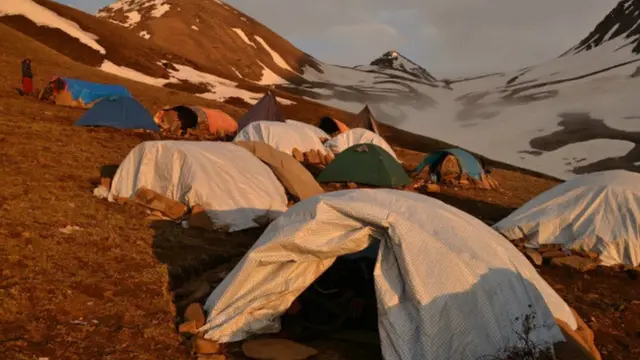 'යාර්සගුම්බා' සොයා ගිය කණ්ඩායමක් රාත්‍රියේ කූඩාරම් ගසා .