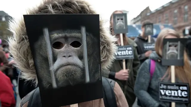 Protesta de activistas en defensa de los derechos de los animales con máscaras.