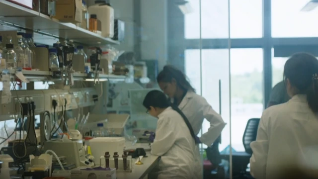 Investigadoras en el LMB, Cambridge