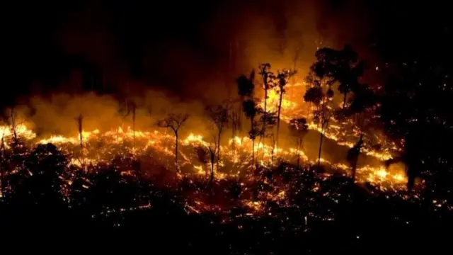 Incêndio florestal à noite