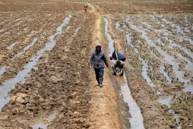 کره شمالی