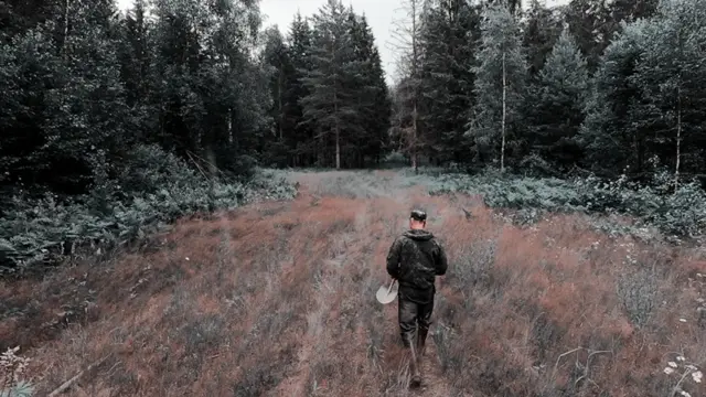 Школьники и студенты Марий Эл на пригородных поездах смогут ездить за полцены