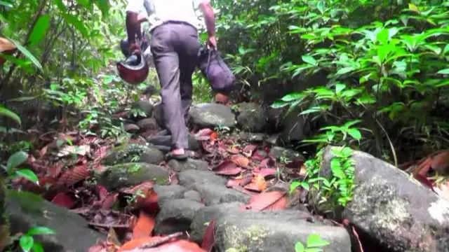 ගිගුරුව රක්ෂිතය