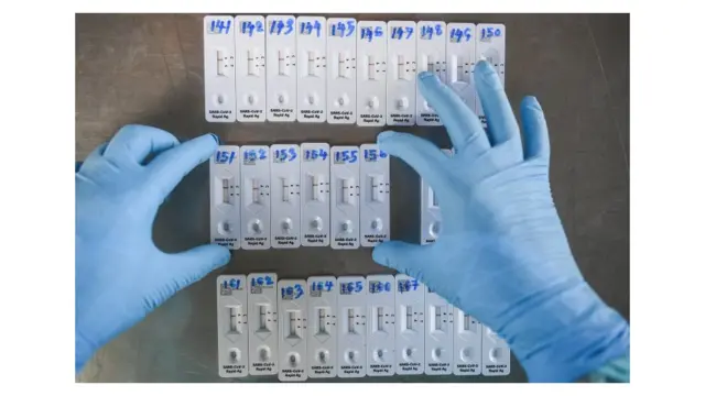 एन्टिजन परीक्षण किट