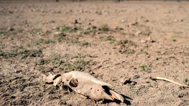 منطقة تعاني الجفاف في تشيلي