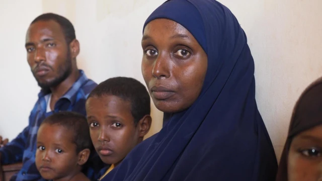 Xera Ifo oo ka tirsan Dhadhaab