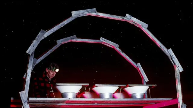 Перелітні птахи керуються магнітним полем Землі