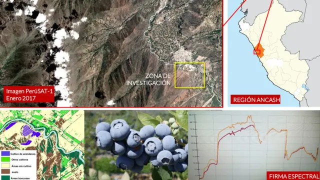 Imagen de zonas de cultivo de arándanos captadas por el satélite PerúSAT-1