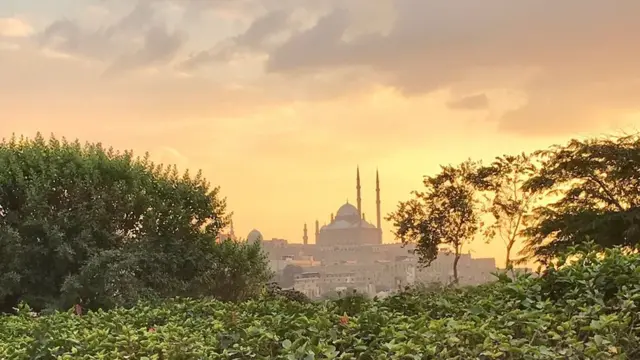 مصر