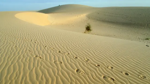 Sahra çölünde ayak izleri