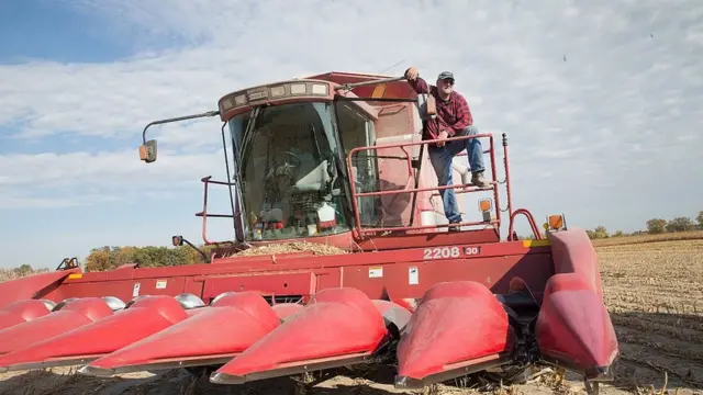 Amerika, Suger rush, Trump