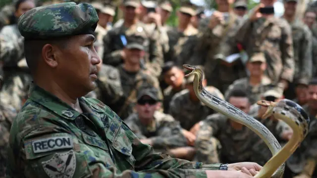 Учения Cobra Gold