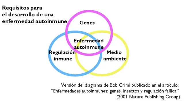 Factores que intervienen en las enfermedades autoinmunes