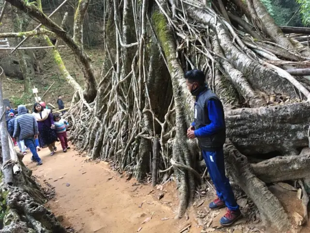 மேகாலயாவின் வேர்ப் பாலம்.