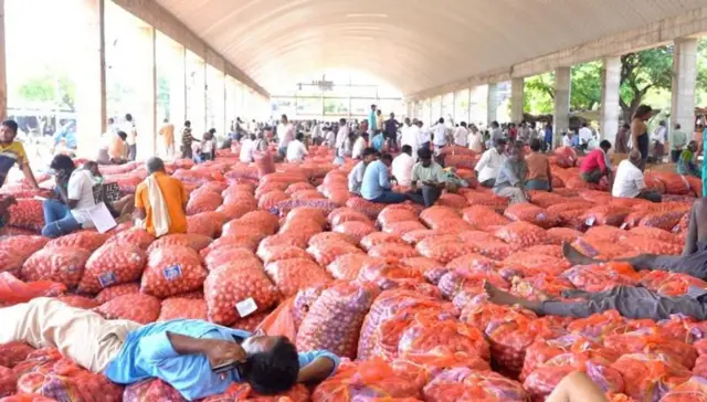 બીબીસી ગુજરાતી ડુંગળી ખેડૂત આંધ્ર પ્રદેશ ખેતી પાક 