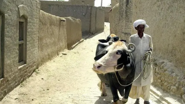 पाकिस्तान के चकवाल जिले में मनमोहन सिंह का गांव गाह 