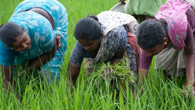 అన్నదాత