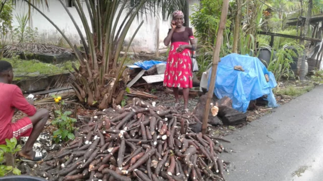 Ndị ọrụ ụgbo na-abọ ihe ha kuru tupu ọ ruo oge ya.