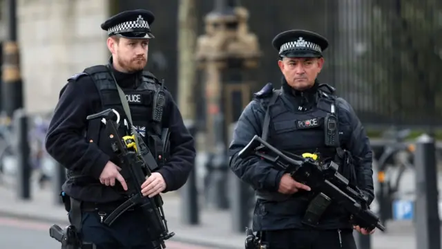 Вооруженная полиция