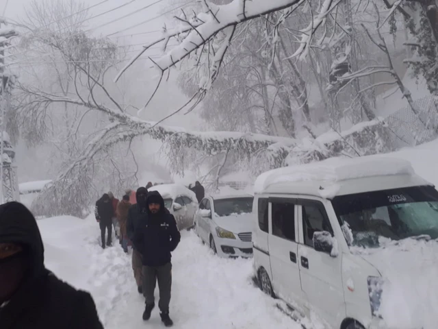 पाकिस्तान