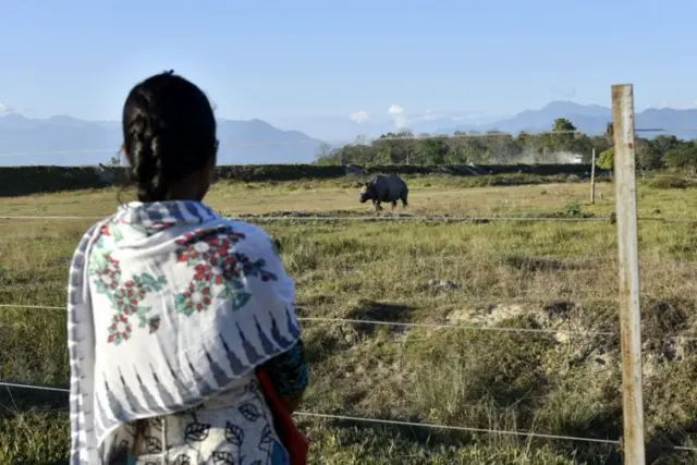 शेत-कुंपण