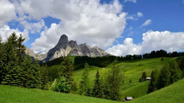 Paisaje verde