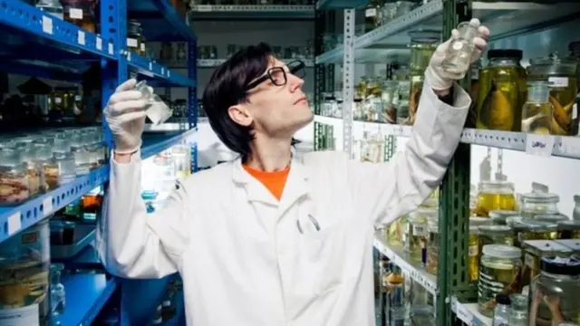 मनोरंजन, सिनेमा, डॉक्टर