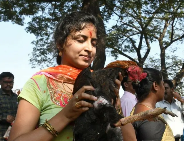 కోడి పుంజుతో యువతి