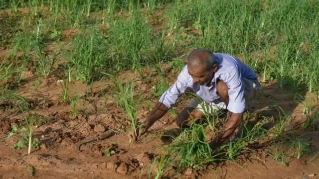 குறைந்தபட்ச ஆதார விலை