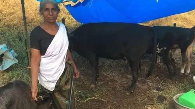 வெள்ளம் வடிந்தது: கேரளவாசிகள் எதிர்கொள்ளும் சவால்கள் என்ன?