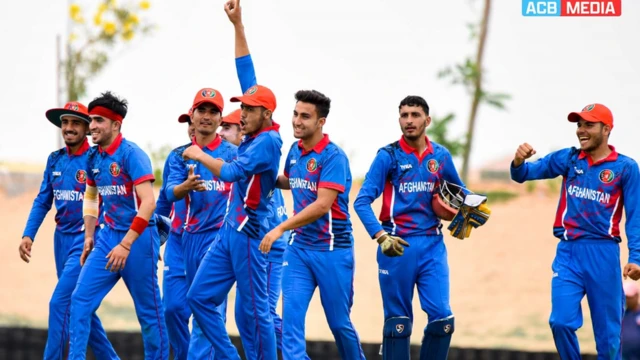 cricket