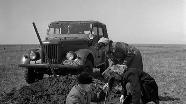 الزراعة في كازاخستان في خمسينيات القرن الماضي