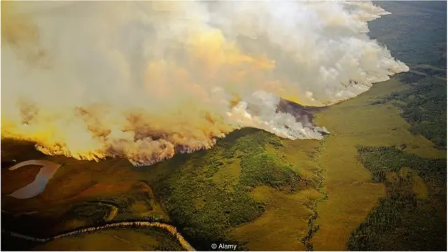 आर्किटक में आग